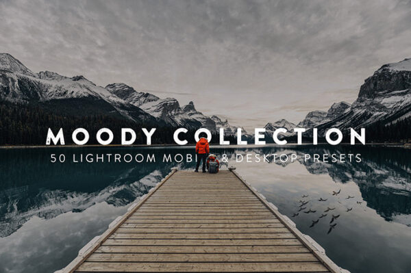 پریست لایت روم و لات رنگی تم پرتره Moody Lightroom Presets and LUTs