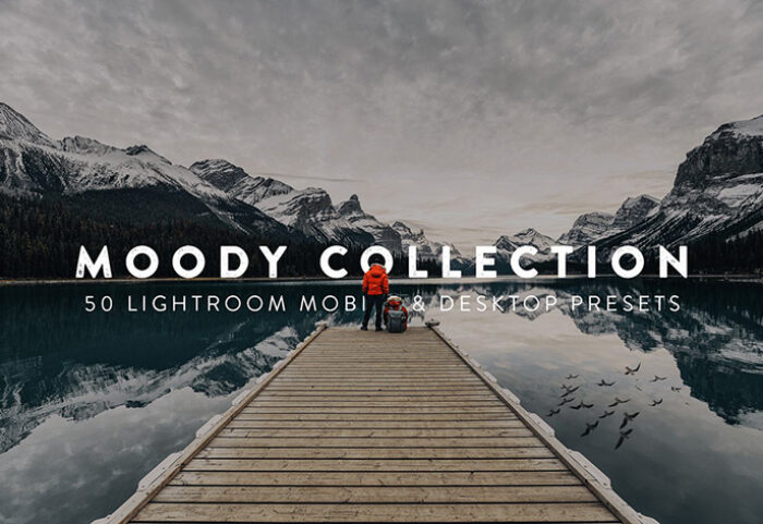پریست لایت روم و لات رنگی تم پرتره Moody Lightroom Presets and LUTs