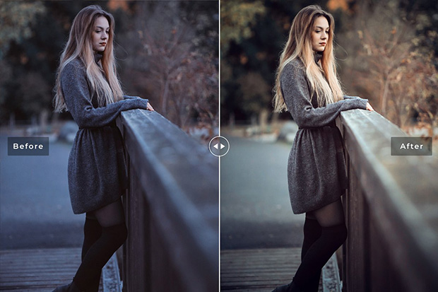 پریست لایت روم و پریست کمرا راو تم نورنبرگ Nuremberg Lightroom Presets Pack پریست لایت روم و پریست کمرا راو تم نورنبرگ Nuremberg Lightroom Presets Pack
