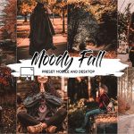 پریست لایت روم و پریست کمرا راو تم پاییز برگ ریزان MOODY FALL LIGHTROOM PRESETS