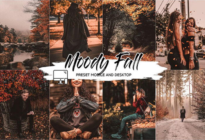 پریست لایت روم و پریست کمرا راو تم پاییز برگ ریزان MOODY FALL LIGHTROOM PRESETS