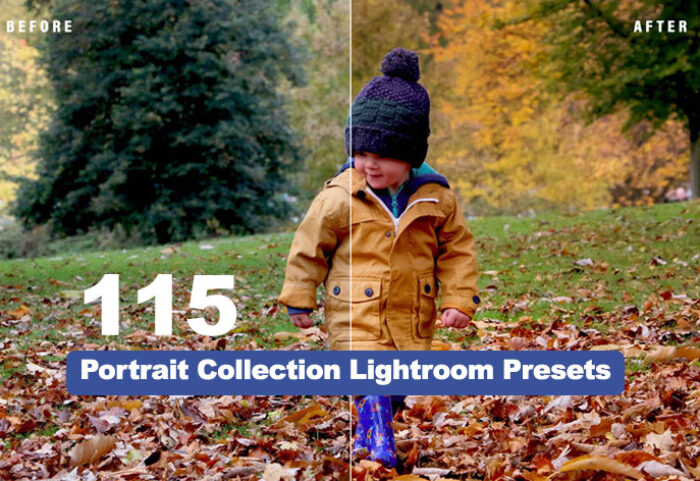 دانلود 115 پریست لایت روم دسکتاپ تم پرتره Portrait Collection Lightroom Presets