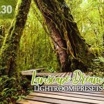 دانلود 130 پریست لایت روم حرفه ای تم طبیعت Landscape Dream Lightroom Presets