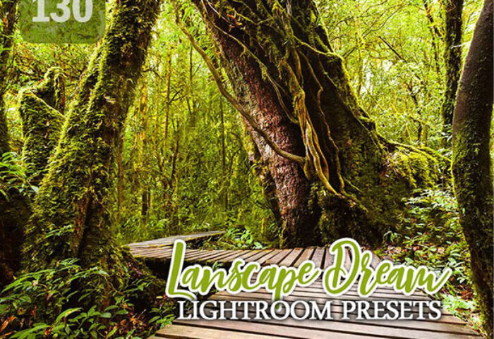 دانلود 130 پریست لایت روم حرفه ای تم طبیعت Landscape Dream Lightroom Presets