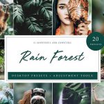 دانلود پریست لایت روم تم جنگل بارانی Rain Forest Desktop Presets