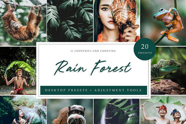 دانلود پریست لایت روم تم جنگل بارانی Rain Forest Desktop Presets