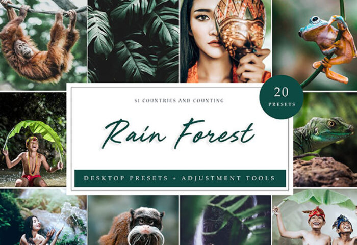 دانلود پریست لایت روم تم جنگل بارانی Rain Forest Desktop Presets