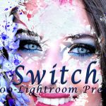 پریست لایت روم دسکتاپ تم رنگی Switch Lightroom Presets
