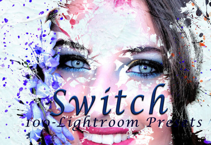 پریست لایت روم دسکتاپ تم رنگی Switch Lightroom Presets