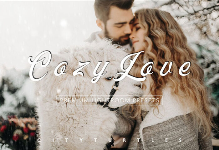 پریست لایت روم دسکتاپ و موبایل تم آغوش عشق Moody COZY LOVE Lightroom Presets