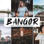 پریست لایت روم دسکتاپ و موبایل تم بانگور Bangor Mobile And Desktop Lightroom Presets