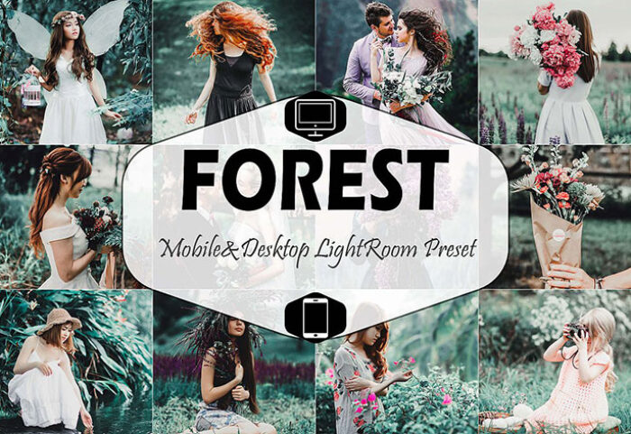 پریست لایت روم دسکتاپ و موبایل تم جنگل Forest Mobile And Desktop Lightroom Presets