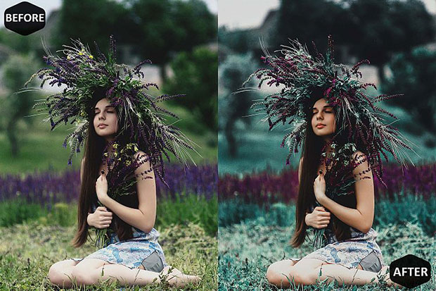 پریست لایت روم دسکتاپ و موبایل تم جنگل Forest Mobile And Desktop Lightroom Presets پریست لایت روم دسکتاپ و موبایل تم جنگل Forest Mobile And Desktop Lightroom Presets