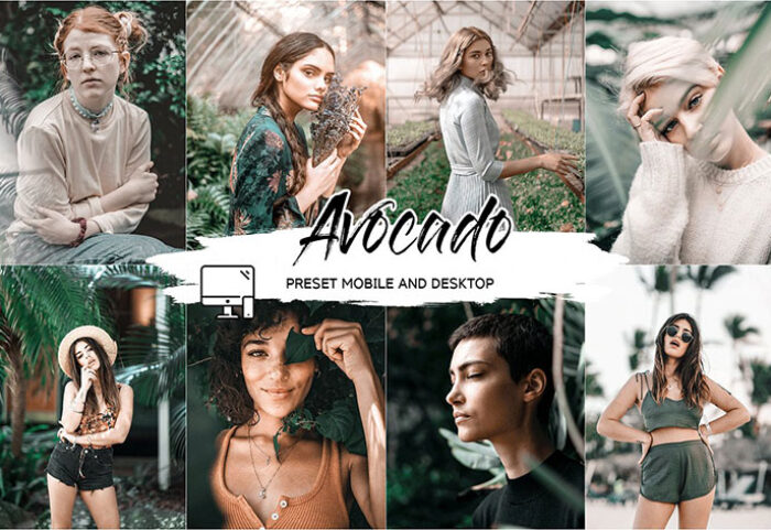 پریست لایت روم دسکتاپ و موبایل تم رنگ آوکادو Avocado Lightroom Presets And Luts