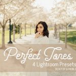 پریست لایت روم دسکتاپ و موبایل تم رنگ حرفه ای Perfect Tones Lightroom Presets