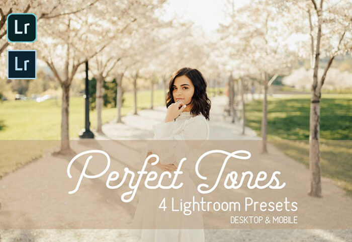 پریست لایت روم دسکتاپ و موبایل تم رنگ حرفه ای Perfect Tones Lightroom Presets
