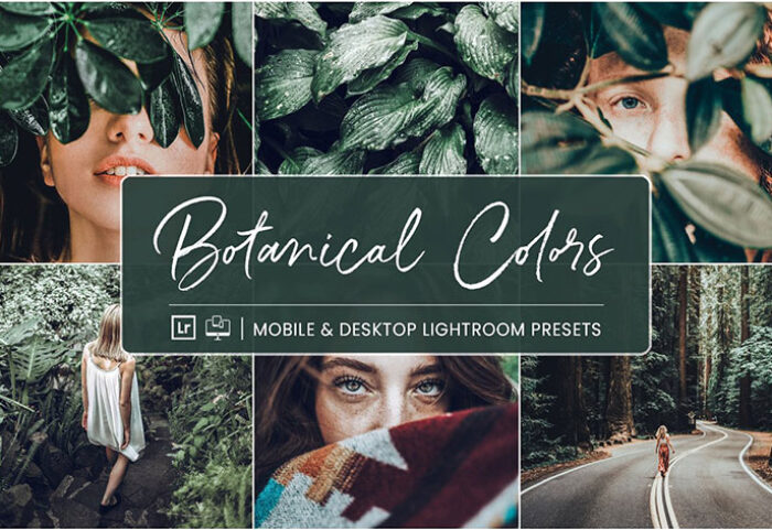 پریست لایت روم دسکتاپ و موبایل تم رنگ گیاهان Lightroom Presets Botanical Colors