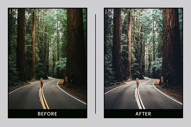 پریست لایت روم دسکتاپ و موبایل تم رنگ گیاهان Lightroom Presets Botanical Colors پریست لایت روم دسکتاپ و موبایل تم رنگ گیاهان Lightroom Presets Botanical Colors