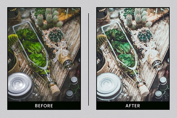 پریست لایت روم دسکتاپ و موبایل تم رنگ گیاهان Lightroom Presets Botanical Colors پریست لایت روم دسکتاپ و موبایل تم رنگ گیاهان Lightroom Presets Botanical Colors