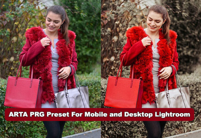 پریست لایت روم دسکتاپ و موبایل تم روشن ARTA PRG Preset For Mobile and Desktop Lightroom