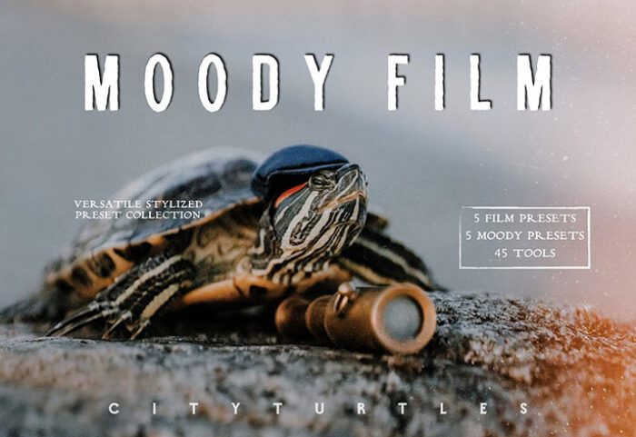 پریست لایت روم دسکتاپ و موبایل تم طبیعت Clean And Moody Film Lightroom Presets