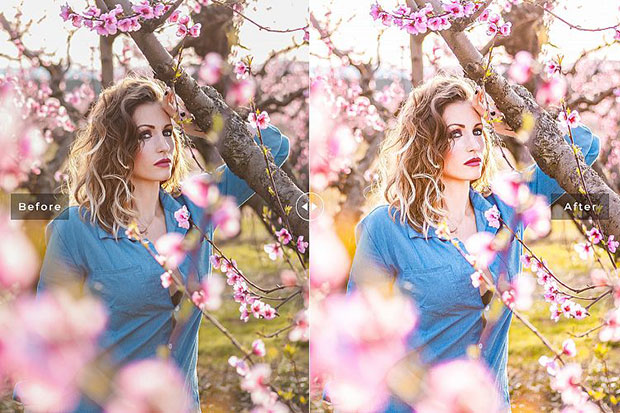 پریست لایت روم و Camera Raw و اکشن تم ساکارا Sakura Mobile And Desktop Lightroom Presets پریست لایت روم و Camera Raw و اکشن تم ساکارا Sakura Mobile And Desktop Lightroom Presets
