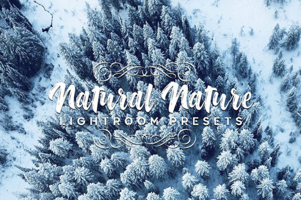 دانلود 20 پریست لایت روم تم رنگ طبیعت Natural Nature Lightroom Presets