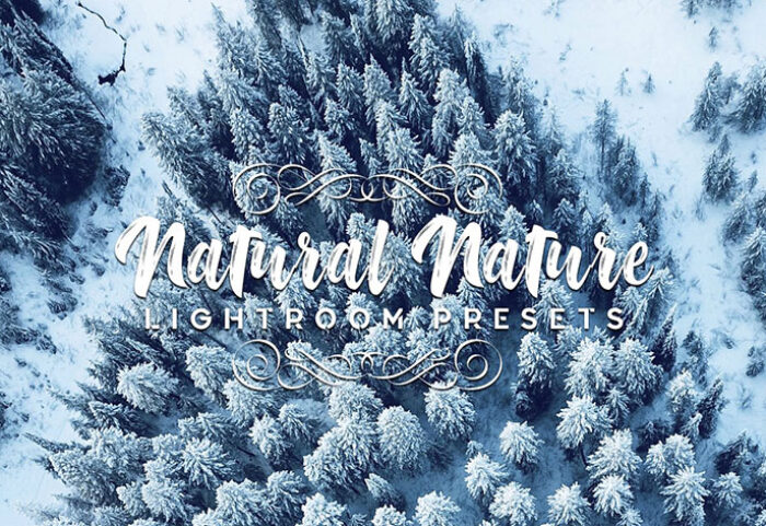 دانلود 20 پریست لایت روم تم رنگ طبیعت Natural Nature Lightroom Presets