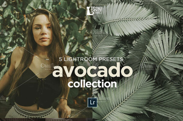 پریست لایت روم دسکتاپ و موبایل تم رنگ آوکادو AVOCADO Lightroom Presets