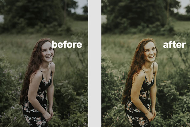 پریست لایت روم دسکتاپ و موبایل تم رنگ آوکادو AVOCADO Lightroom Presets پریست لایت روم دسکتاپ و موبایل تم رنگ آوکادو AVOCADO Lightroom Presets
