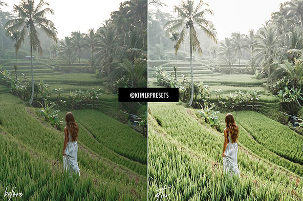 پریست لایت روم دسکتاپ و موبایل تم رنگ سبز MATCHA GREEN LIGHTROOM PRESETS پریست لایت روم دسکتاپ و موبایل تم رنگ سبز MATCHA GREEN LIGHTROOM PRESETS