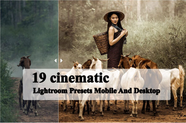 پریست لایت روم دسکتاپ و موبایل تم رنگ سینمایی cinematic Lightroom Presets Mobile And Desktop