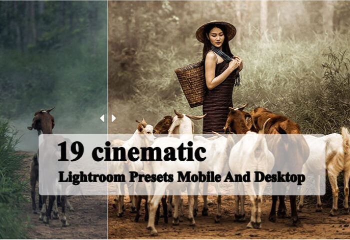 پریست لایت روم دسکتاپ و موبایل تم رنگ سینمایی cinematic Lightroom Presets Mobile And Desktop