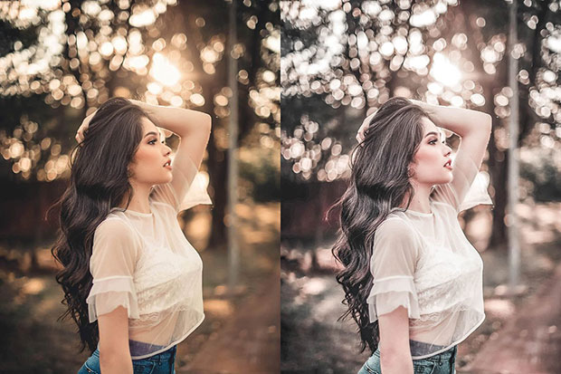 پریست لایت روم دسکتاپ و موبایل تم طلایی Gold Lightroom CC Presets پریست لایت روم دسکتاپ و موبایل تم طلایی Gold Lightroom CC Presets