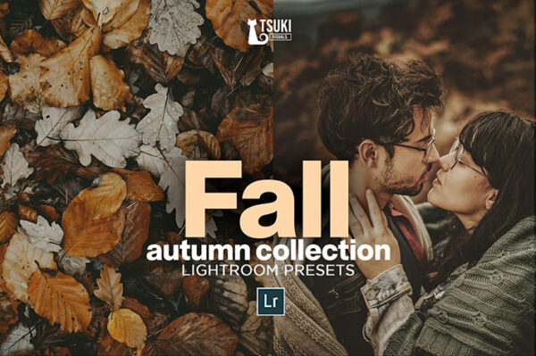 پریست لایت روم دسکتاپ و موبایل تم پاییز خزان FALL Autumn Collection LR Presets