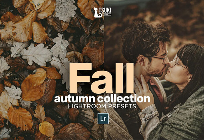 پریست لایت روم دسکتاپ و موبایل تم پاییز خزان FALL Autumn Collection LR Presets