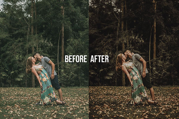پریست لایت روم دسکتاپ و موبایل تم پاییز خزان FALL Autumn Collection LR Presets پریست لایت روم دسکتاپ و موبایل تم پاییز خزان FALL Autumn Collection LR Presets