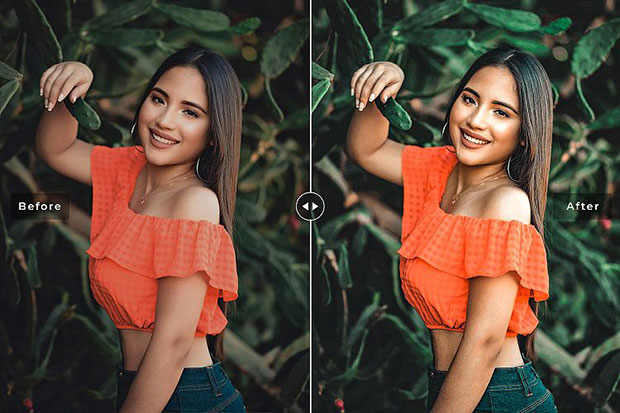 پریست لایت روم و Camera Raw و اکشن تم رنگ گیاهان Papaya Mobile And Desktop Lightroom Presets پریست لایت روم و Camera Raw و اکشن تم رنگ گیاهان Papaya Mobile And Desktop Lightroom Presets