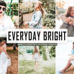 پریست لایت روم و Camera Raw و اکشن تم روز آفتابی Everyday Bright Mobile And Desktop Lightroom Presets
