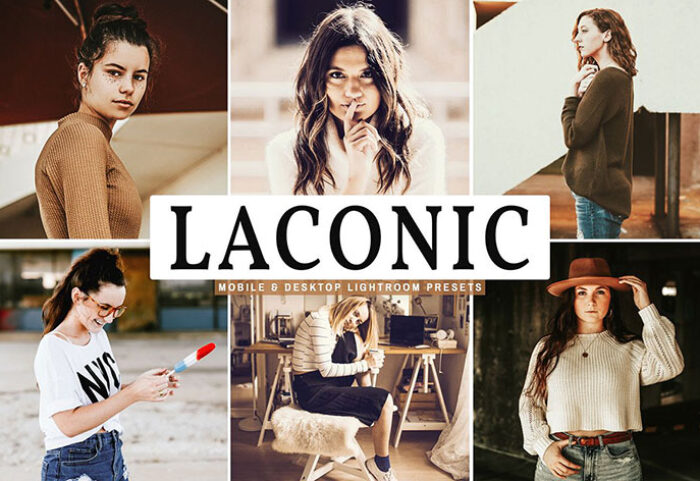 پریست لایت روم و Camera Raw و اکشن تم شکلاتی Laconic Mobile And Desktop Lightroom Presets
