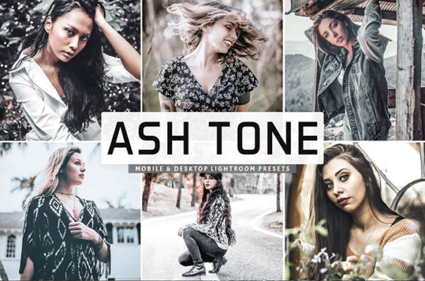 پریست لایت روم و پریست کمرا راو تم خاکستری Ash Tone Pro Lightroom Presets