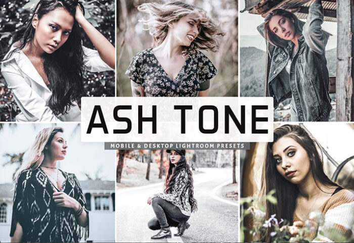 پریست لایت روم و پریست کمرا راو تم خاکستری Ash Tone Pro Lightroom Presets