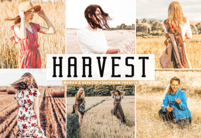 پریست لایت روم و پریست کمرا راو تم کشتزار Harvest Pro Lightroom Presets