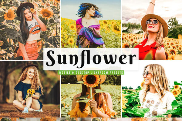 پریست لایت روم و پریست کمرا راو تم گل آفتابگردان Sunflower Lightroom Presets Pack