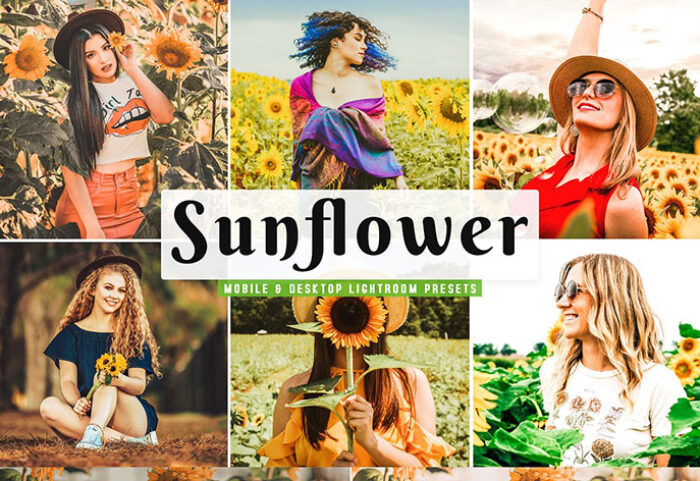 پریست لایت روم و پریست کمرا راو تم گل آفتابگردان Sunflower Lightroom Presets Pack