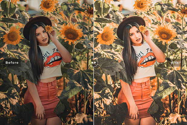 پریست لایت روم و پریست کمرا راو تم گل آفتابگردان Sunflower Lightroom Presets Pack پریست لایت روم و پریست کمرا راو تم گل آفتابگردان Sunflower Lightroom Presets Pack
