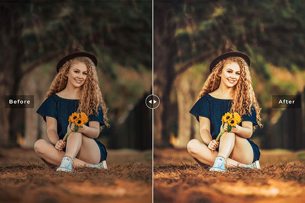 پریست لایت روم و پریست کمرا راو تم گل آفتابگردان Sunflower Lightroom Presets Pack پریست لایت روم و پریست کمرا راو تم گل آفتابگردان Sunflower Lightroom Presets Pack