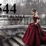 دانلود 544 پریست لایت روم تم رنگی MOODY BUNDLE LIGHTROOM PRESETS