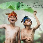 دانلود 8 پریست لایت روم تم جنگل استوایی Rain Forest Lightroom Presets