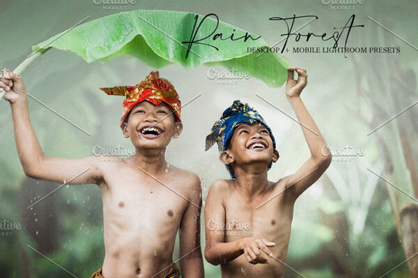 دانلود 8 پریست لایت روم تم جنگل استوایی Rain Forest Lightroom Presets